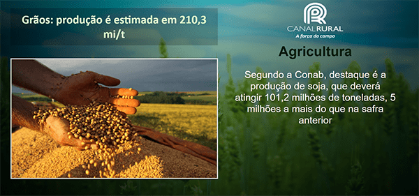 conteúdo online
